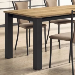 Perfecta Reina Chaise de cuisine contemporaine en métal et simili><noscript><img width=