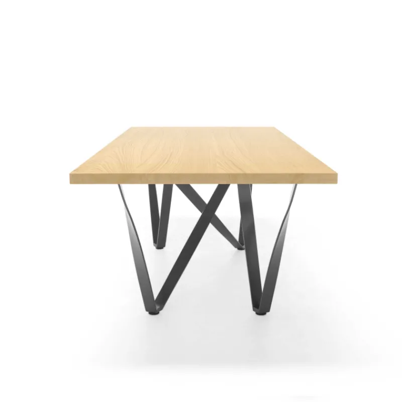 Tomasella Wave Table design rectangulaire avec pied en métal> Table De Salle à Manger